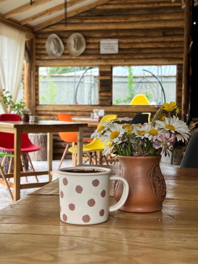 Noy Guest House B&B Vanadzor Extérieur photo