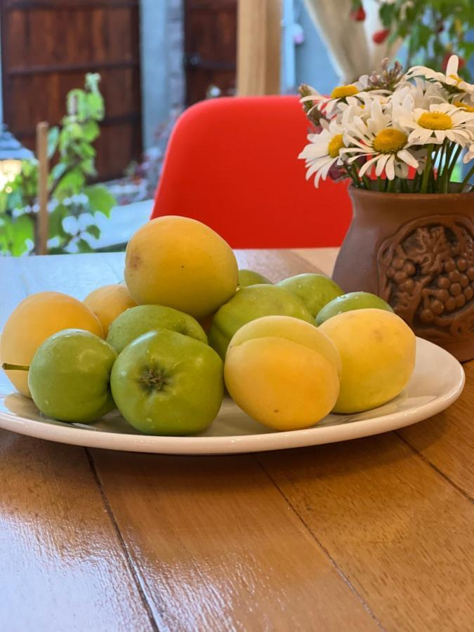 Noy Guest House B&B Vanadzor Extérieur photo